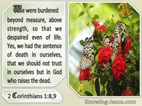 The Nature of True Ministry